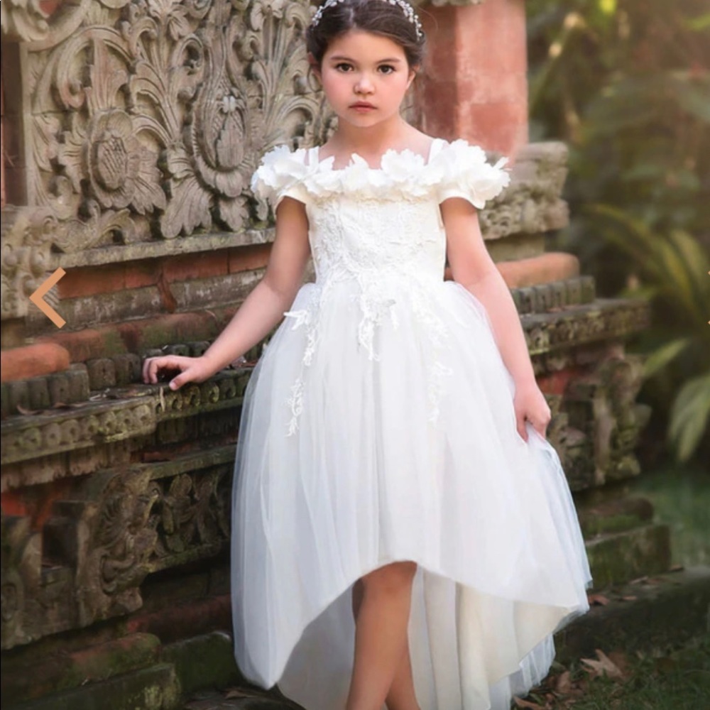 Trish sully size 6 belle gown.